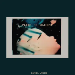 Pochette de Flesh and Machine de Daniel Lanois