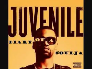 Pochette diary of a soldier