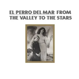 Pochette de From the Valley to the Stars de El Perro del Mar