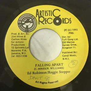 Pochette de Falling Apart de Reggie Stepper