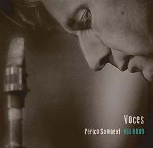 Pochette de Voces de Perico Sambeat