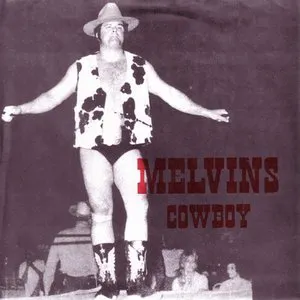 Pochette Cowboy / Hillbilly
