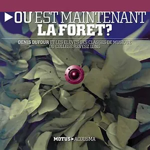 Pochette de Où est maintenant la forêt ? de Denis Dufour