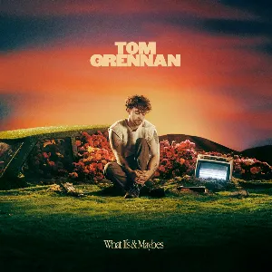 Pochette de What Ifs & Maybes de Tom Grennan
