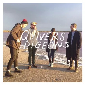 Pochette de Pigeons de Quivers