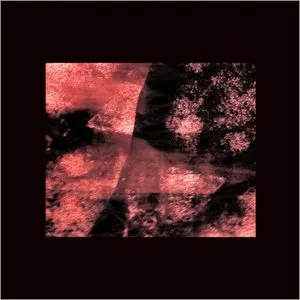 Pochette de Angels That Fall de Loren Mazzacane Connors