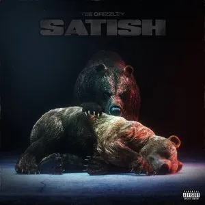 Pochette de Satish de Tee Grizzley