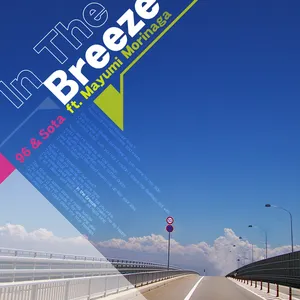 Pochette de In The Breeze de Sota Fujimori