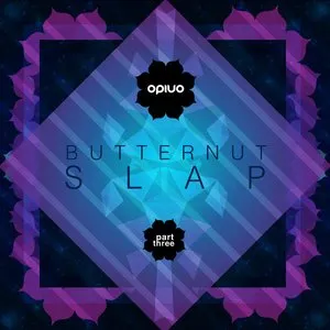 Pochette de Butternut Slap, Part 3 de Opiuo
