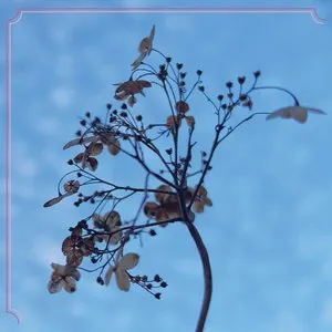 Pochette de Take Me Up de Lee Ranaldo