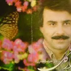 Pochette de Raze Gol de Alireza Eftekhari