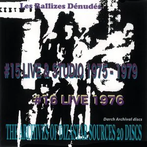 Pochette de The Archives of Dizastar Sources, Volume 8 de Les Rallizes Dénudés