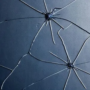 Pochette de 静脈 de Plastic Tree