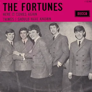 Pochette de Here It Comes Again / Things I Should Have Known de The Fortunes