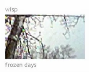 Pochette de Frozen Days de Wisp