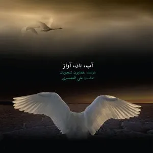 Pochette de Ab,Nan,Avaz de Homayoun Shajarian