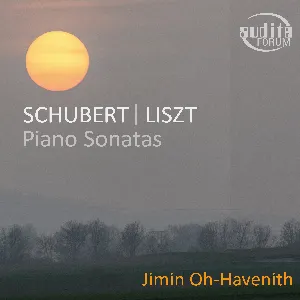 Pochette de Schubert: Piano Sonata ’Fantasy’ - Liszt: Piano Sonata de Franz Schubert