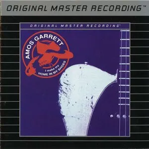 Pochette de I Make My Home in My Shoes de Amos Garrett