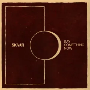 Pochette de Say Something Now de SKAAR