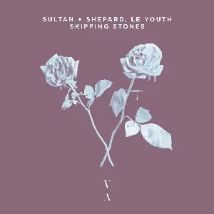 Pochette de Skipping Stones de Sultan + Shepard - Le Youth