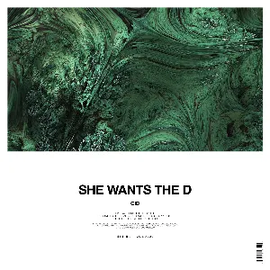 Pochette de She Wants The D de CID
