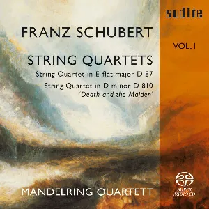 Pochette Franz Schubert: String Quartets Vol. 1