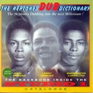 Pochette Dub Dictionary