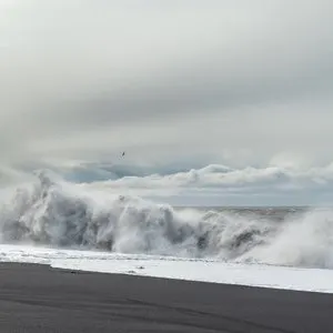Pochette de The Black Sand de Warmth
