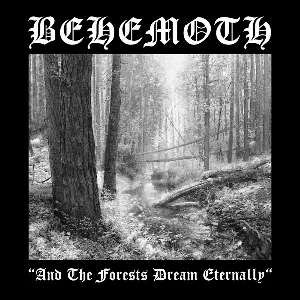 Pochette And the Forests Dream Eternally