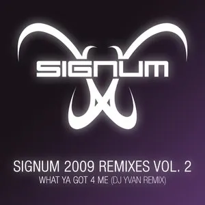 Pochette de What Ya Got 4 Me de Signum