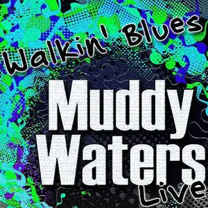 Pochette Walkin’ Blues (Live)