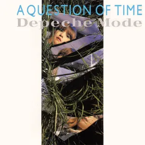 Pochette A Question of Time