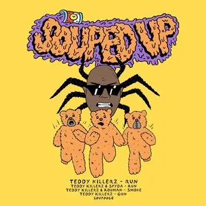 Pochette de Run de Teddy Killerz