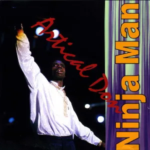Pochette de Artical Don de Ninjaman