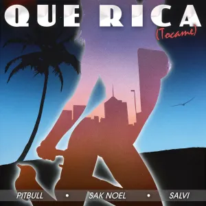 Pochette de Que Rica (Tocame) de Sak Noel - Pitbull