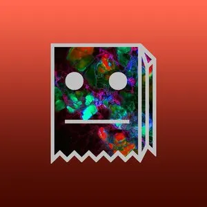 Pochette de You Worry Enough de Mr FijiWiji