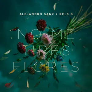 Pochette de No me tires flores de Alejandro Sanz