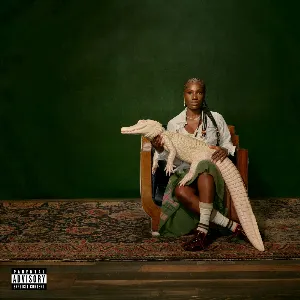 Pochette de Alligator Bites Never Heal de Doechii