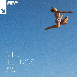 Pochette de Wild Feelings de Andrew Rayel
