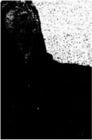 Pochette de Human Poisoning de Black Cilice