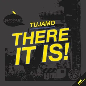 Pochette de There It Is de Tujamo