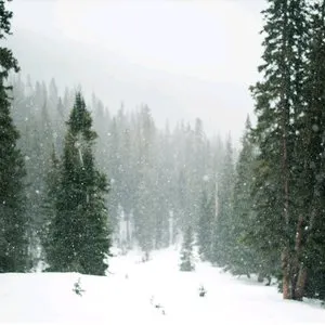 Pochette de Quiet Winter de Scott Lawlor