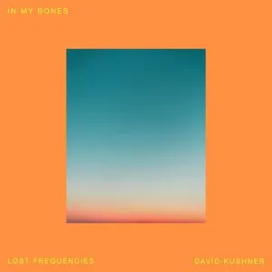 Pochette de In My Bones de Lost Frequencies
