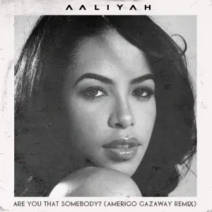 Pochette de Aaliyah - Are You That Somebody? (Amerigo Gazaway Remix) de Amerigo Gazaway