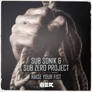 Pochette de Raise Your Fist de Sub Zero Project