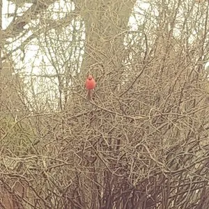 Pochette de 2744 de Kevin Drumm