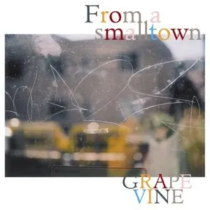 Pochette de From a smalltown de GRAPEVINE