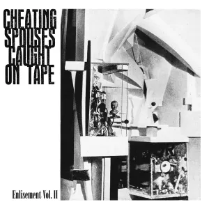 Pochette de Enlisement Vol. II de Cheating Spouses Caught on Tape
