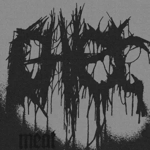 Pochette de Meat de Chier
