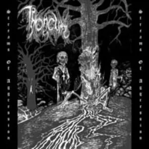 Pochette de Streams of Aggression de Throneum